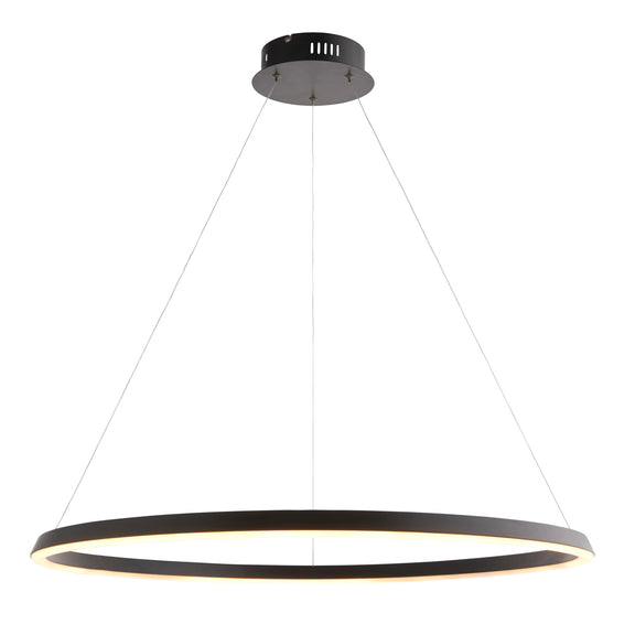 Staten 1 Pendant Light - Black from SSS Home Needs - Pendant lighting Ireland