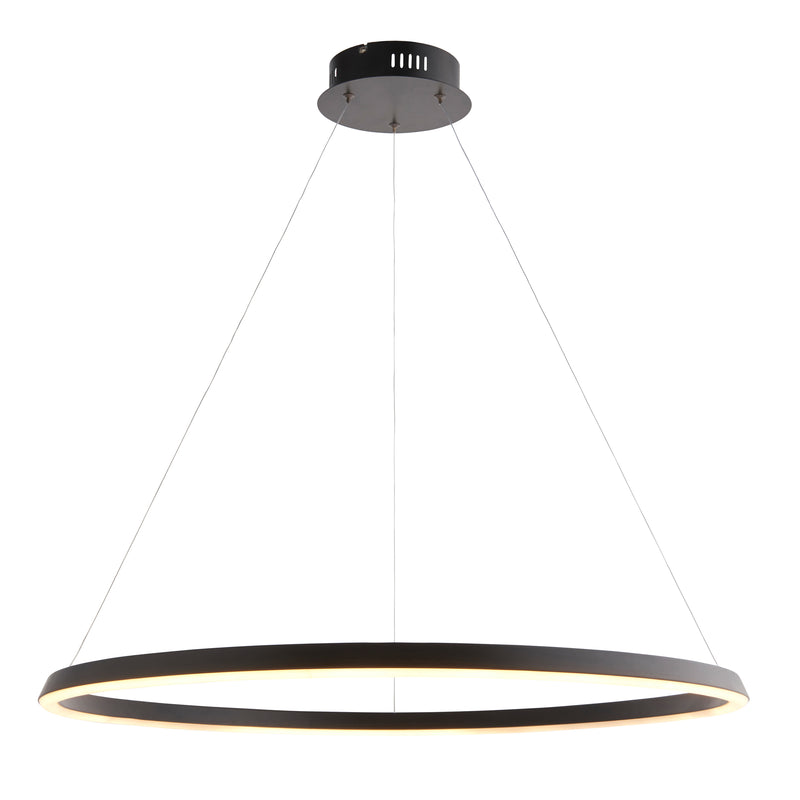 Staten 1 Pendant Light - Black from SSS Home Needs - Pendant lighting Ireland