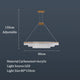 Minimalist cage style ceiling light modern interior