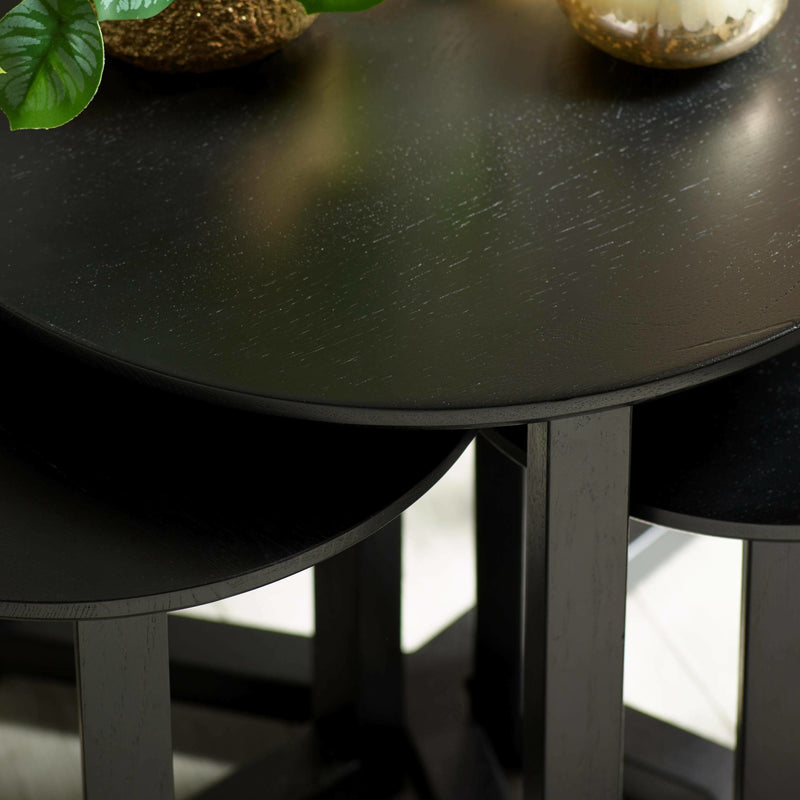 Close-up of a black round table with a plant and decorative item on it.