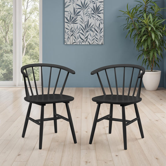 Two black wooden chairs in a room with a blue wall, plant, and window.