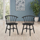 Two black wooden chairs in a room with a blue wall, plant, and window.