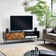 Modern living room with a TV stand, sofa, and decorative plants.