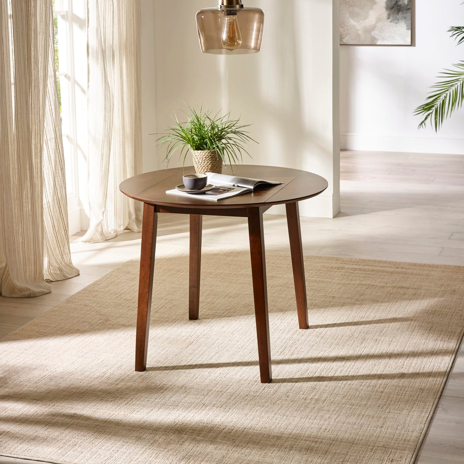 Wooden round table with a plant and books in a bright room with curtains and a rug.
