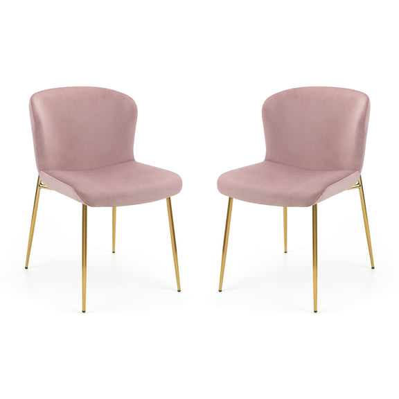Two pink chairs with gold legs on a white background
