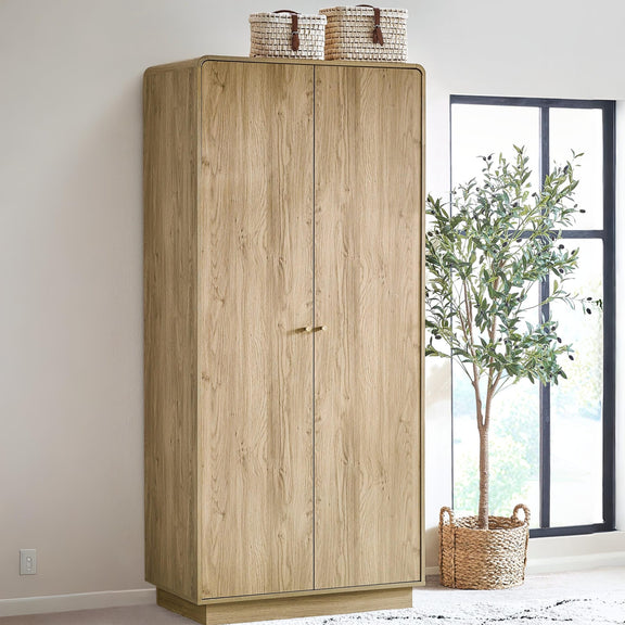 Wooden wardrobe with two doors in a room with a window and plant.