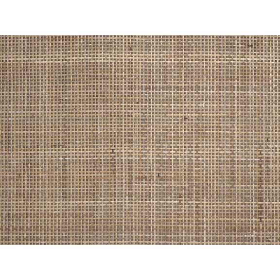 Textured brown color swatch