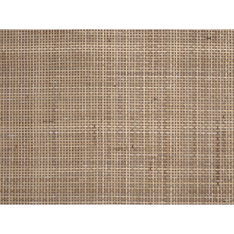 Textured brown color swatch