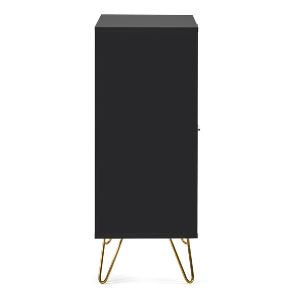Black cabinet with gold legs on a white background