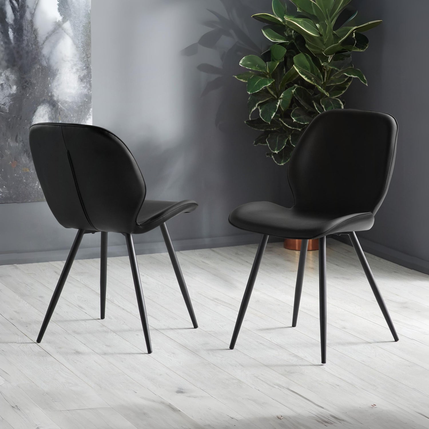 Two black chairs on a light wooden floor with a plant in the background.