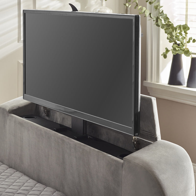 TV mounted on a gray sofa with a plant in the background