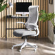 Gray office chair in a home office setting with a desk and plants.