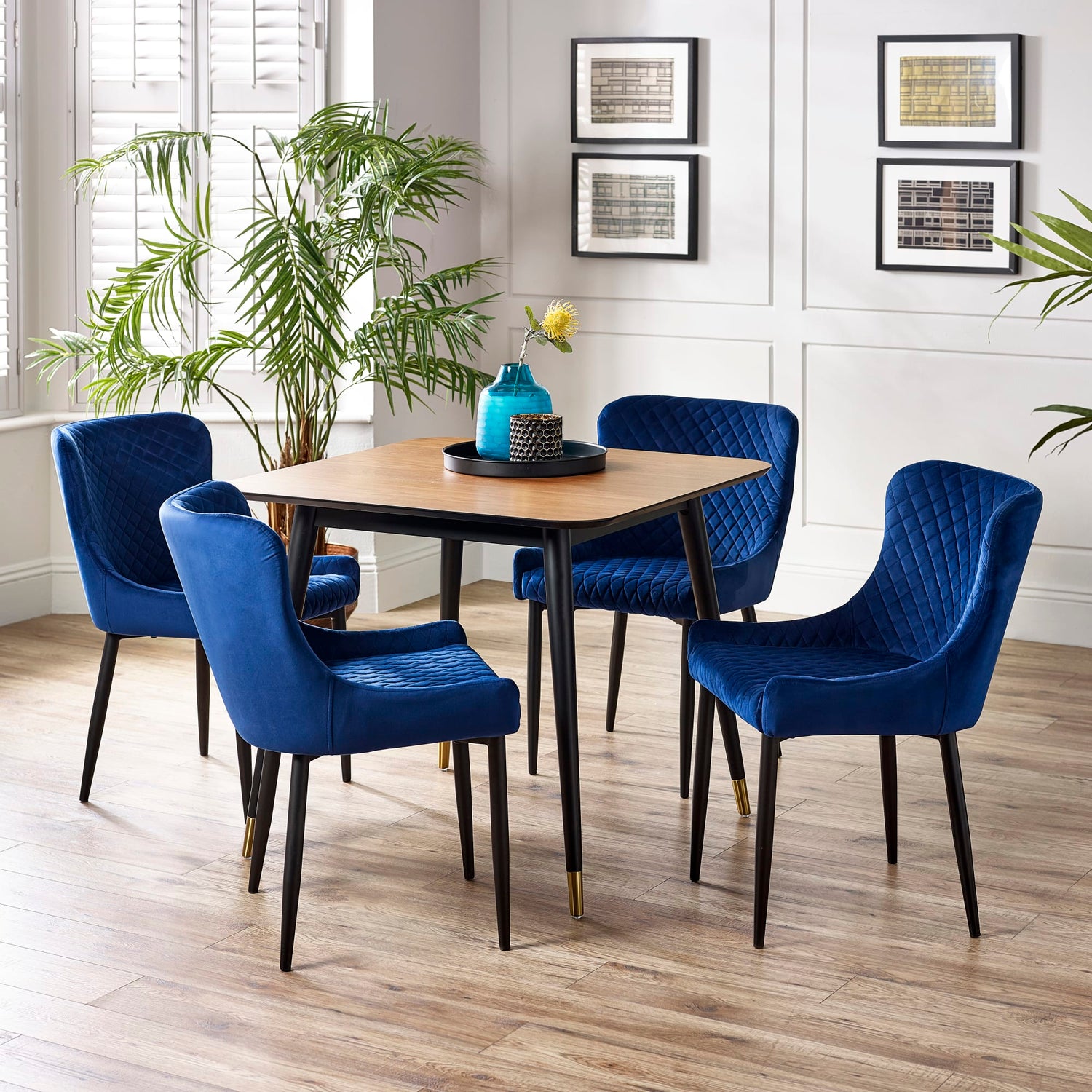 Dining room with a wooden table and blue chairs, featuring a plant and framed pictures on the wall.