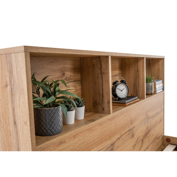Wooden shelf with plants and decorative items on a white background