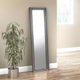 Silver framed mirror leaning against a beige wall next to a potted plant on a wooden floor.