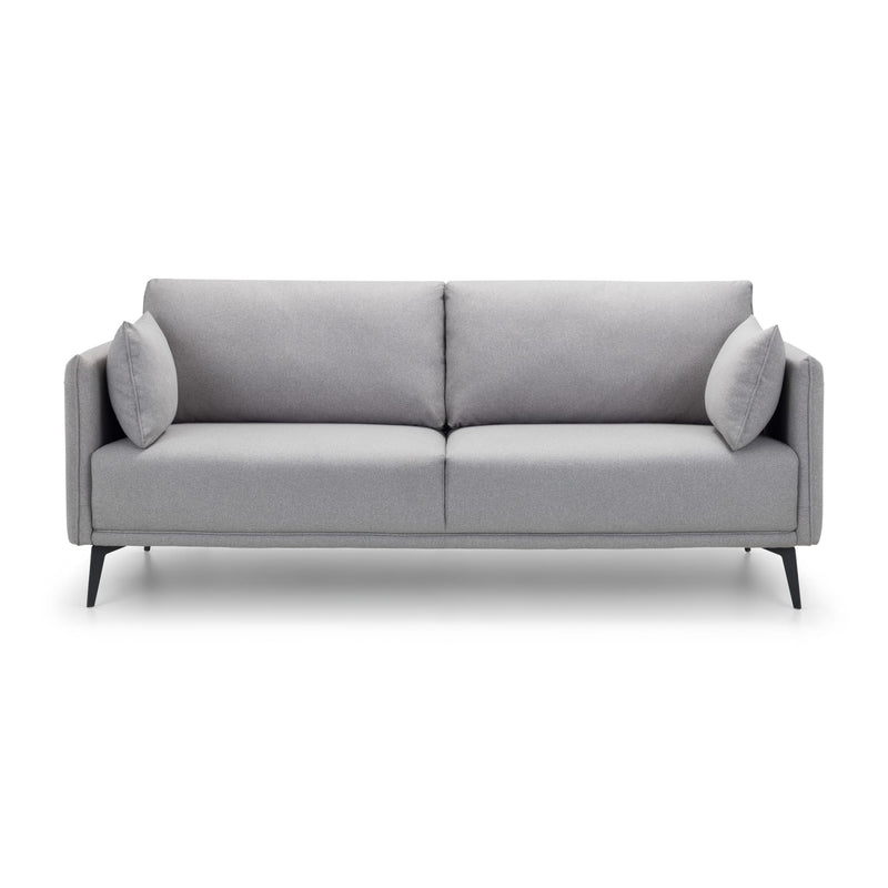 Gray sofa with two cushions on a white background