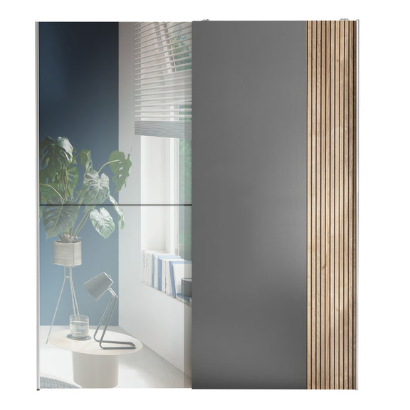 Modern interior design with a sliding door, plant, and books.