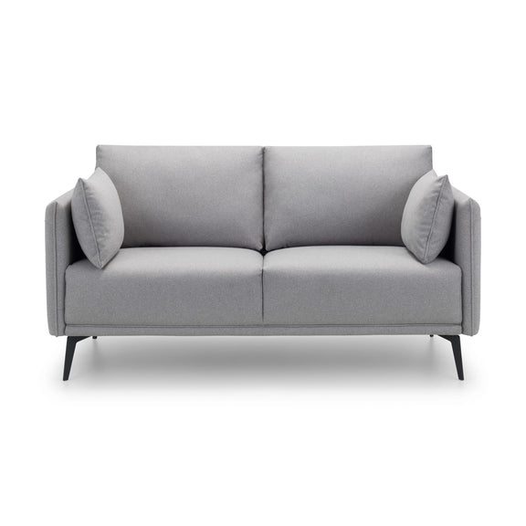 Gray sofa with two cushions on a white background