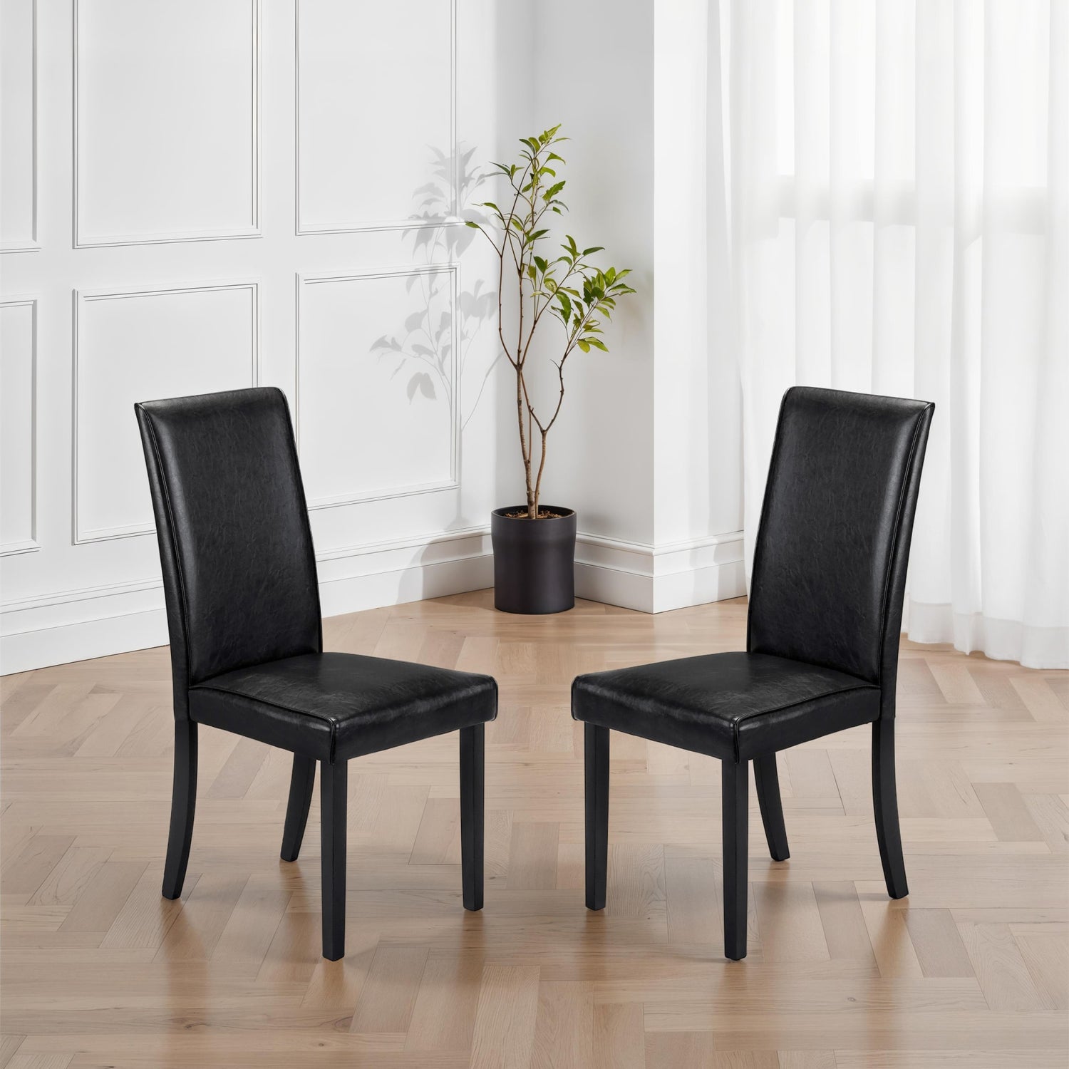 Two black chairs on a wooden floor with a plant in the background.