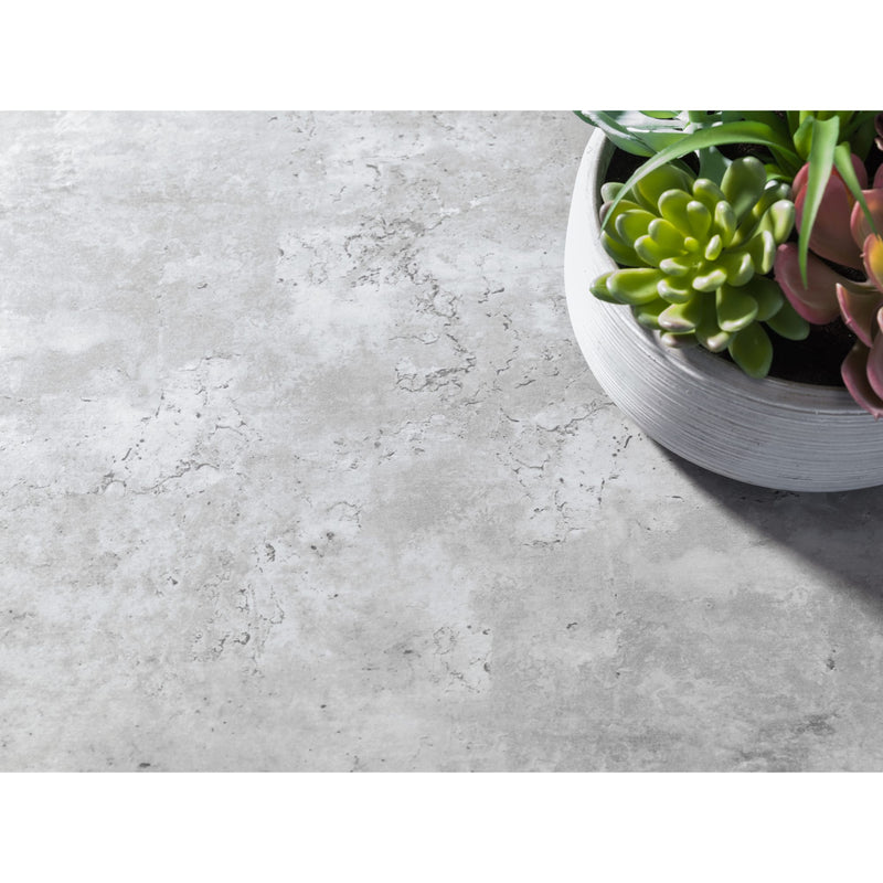 Concrete surface with a small potted plant on a white background