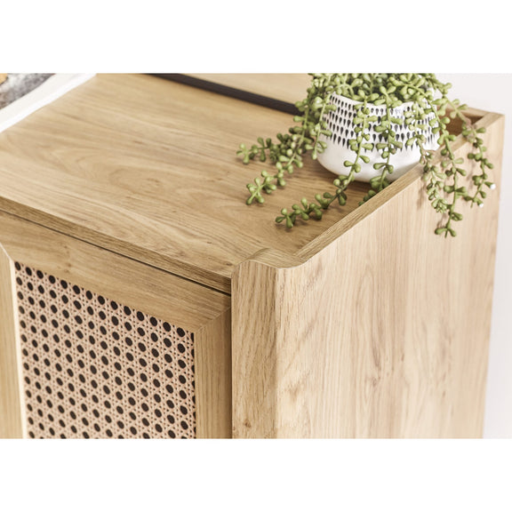 Wooden side table with a plant on top