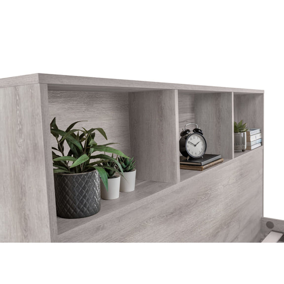 Gray wooden office desk with plants and a clock on a white background